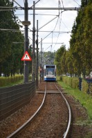 /album/fotos3/dsc-7406-jpg/