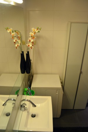 Moderne badkamer met wasmachine aansluiting